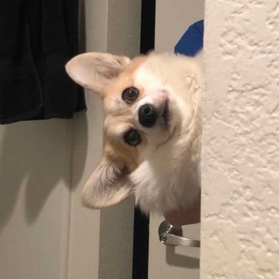 有没有又搞怪又可爱的微信头像(共14张)