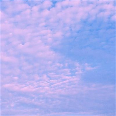 又简单又好看的头像(优选24张)