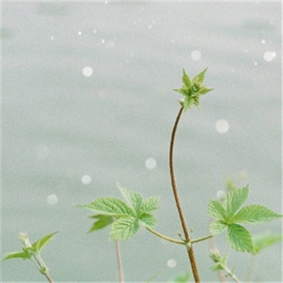 又简单又好看的头像(优选24张)