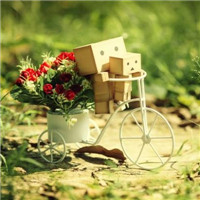 清新淡雅的图片头像(33张)