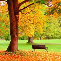 清新淡雅的图片头像(33张)