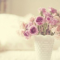 清新淡雅花朵微信头像(优选24张)