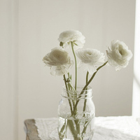 清新淡雅花朵微信头像(优选24张)