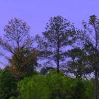 最新版的微信头像大全图片(精选20张)