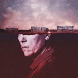 成熟稳重风格的头像(30张)