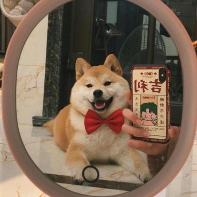 可爱萌宠情侣头像两张(共18张)