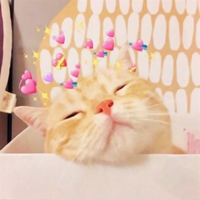 可爱萌宠情侣头像两张(共18张)