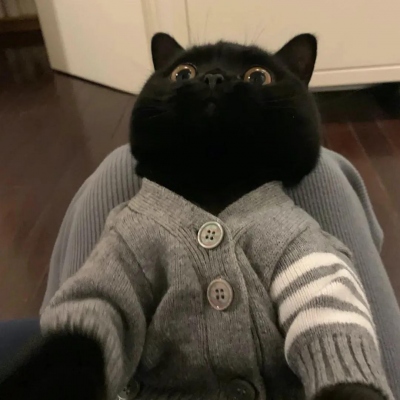 可爱萌宠情侣头像两张(共18张)