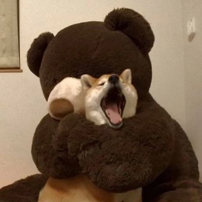 情头单人情侣头像图片(16张)