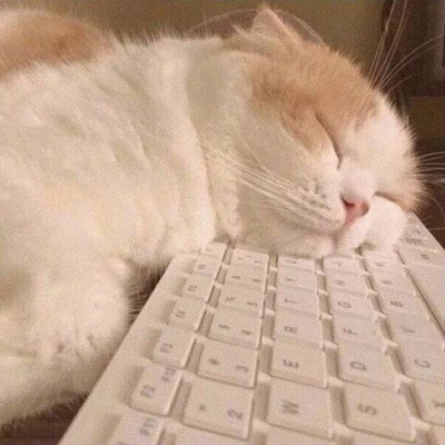 大脸萌可爱喵星人头像图片(20张)