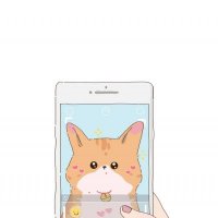 可爱的小猫图片头像(精选18张)