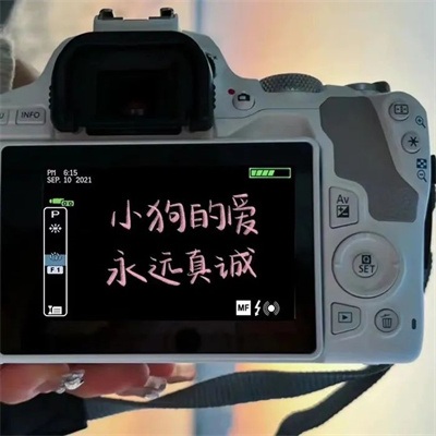 有内涵带字的微信头像(共28张)