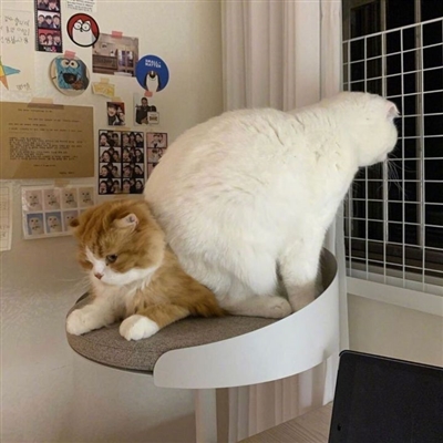 七夕情人节简单好看的情侣头像大全图片(34张)