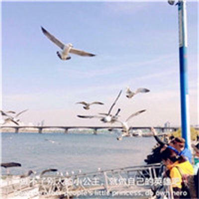 微信头像文字风景图片(26张)