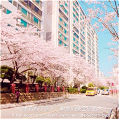 微信头像文字风景图片(26张)