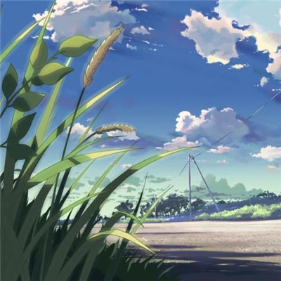 既好看又稀有的头像(共36张)