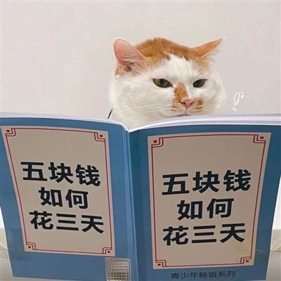 全网最美情侣头像图片(精选22张)