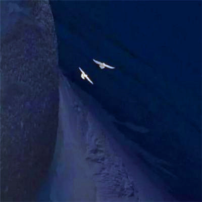 简单又很有魅力的好看头像图片(优选24张)