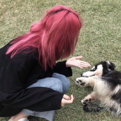 非常甜又恩爱的情头(优选20张)