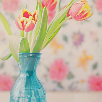 花朵风景美图微信头像(共26张)