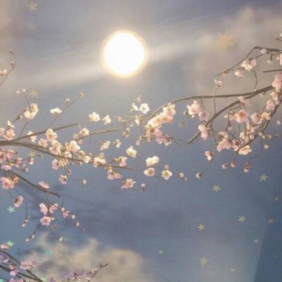 高清美图风景微信头像图片大全(精选22张)