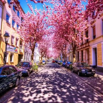 高清美图风景微信头像图片大全(精选22张)