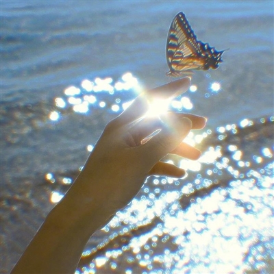 好看的高清微信头像图片大全(24张)