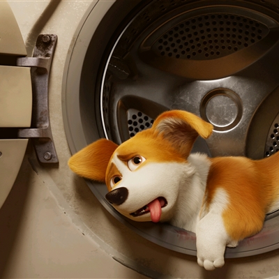 高颜值汪星人帅气头像精选图片(共20张)