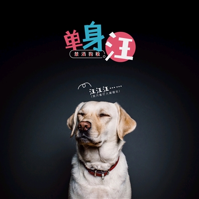 高颜值汪星人帅气头像精选图片(共20张)