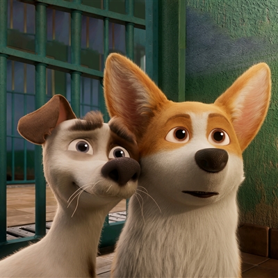 高颜值汪星人帅气头像精选图片(共20张)