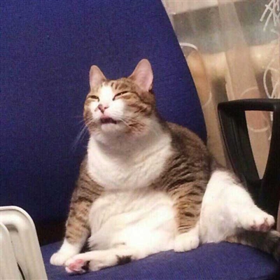 适合青年男生的头像(精选24张)