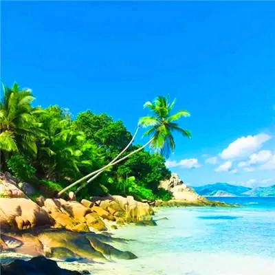 2023年带来健康好运的头像(精选24张)