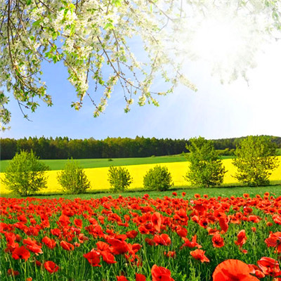 2023年带来健康好运的头像(精选24张)