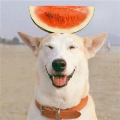 今年最漂亮的微信头像(优选26张)