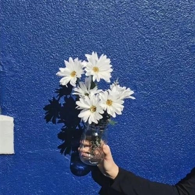 今年最漂亮的微信头像(优选26张)