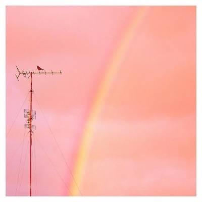 漂亮又好看的头像图片(精选26张)