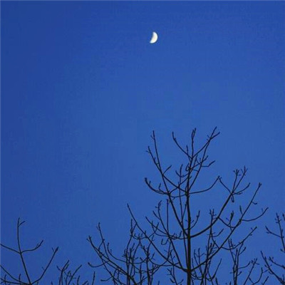 漂亮又好看的头像图片(精选26张)