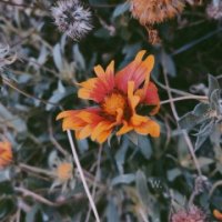 超漂亮的微信头像图片(精选24张)