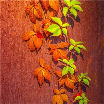 能被一眼注意到的微信头像风景(共22张)