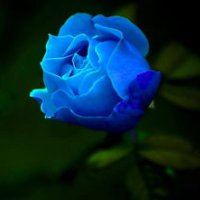 能被一眼注意到的微信头像风景(共22张)