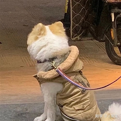 最不引人注目的头像(共20张)