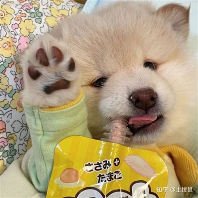 最不引人注目的头像(共20张)