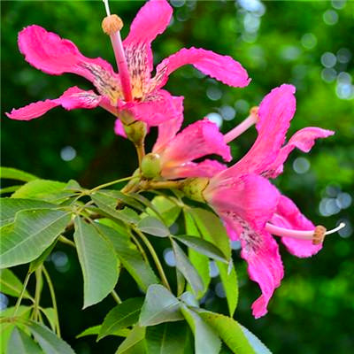 2023带来好运的微信头像简单(22张)