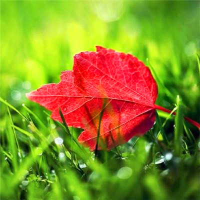 2023带来好运的微信头像简单(22张)