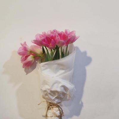 提升运气的微信头像图片(共20张)