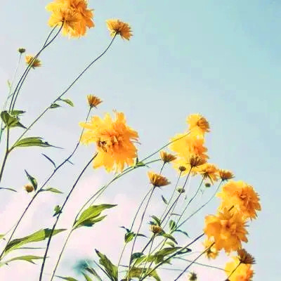 提升运气的微信头像图片(共20张)