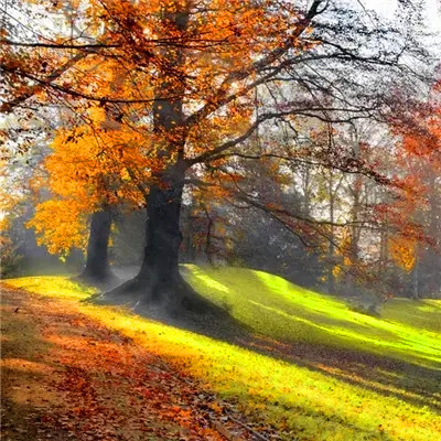 2023年最吉利最顺的微信头像(优选26张)