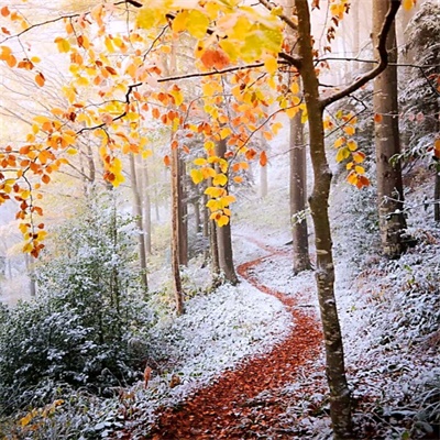 微信头像自然风景图片简单(34张)