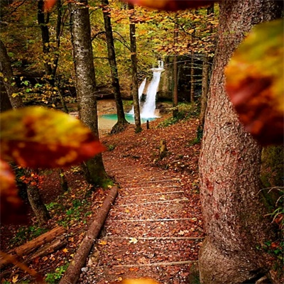 微信头像自然风景图片简单(34张)