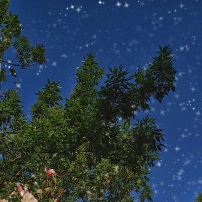 微信头像自然风景图片简单(34张)